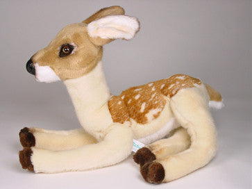 "Frolic" Fawn