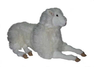"Annabelle" Sheep