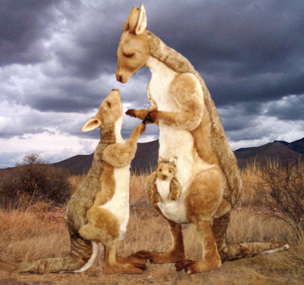 "Kanga" Kangaroo with Joey