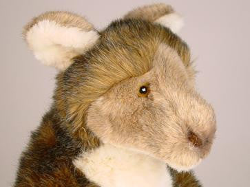 "Joey" Kangaroo