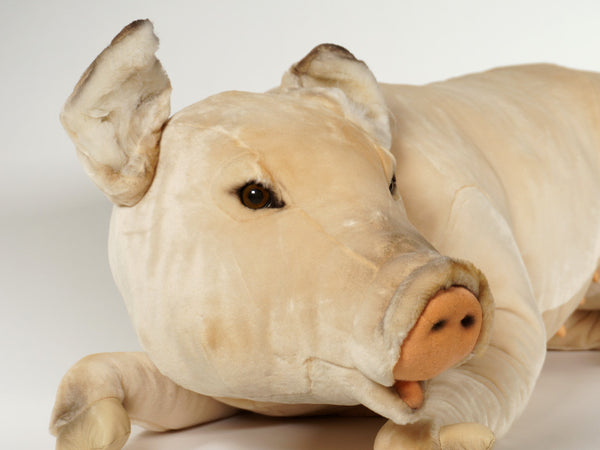 "Sapphire" Pig