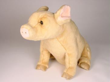 "Pigasus" Pig