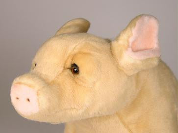 "Pigasus" Pig