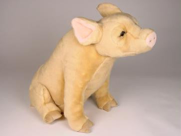 "Pigasus" Pig