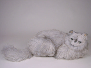"Chinnie" Silver Persian