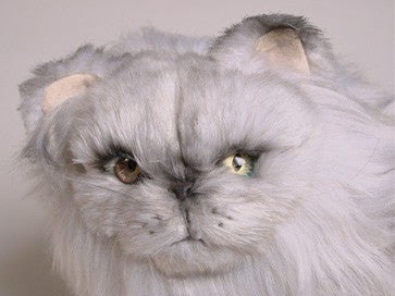 "Royce" Silver Persian