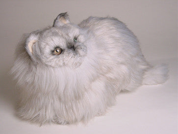 "Royce" Silver Persian