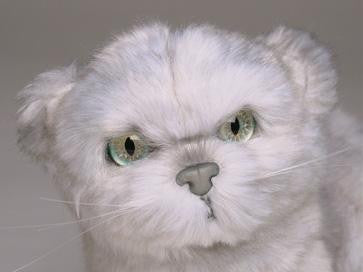 "Tiffany" Silver Persian