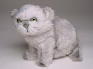 "Tiffany" Silver Persian