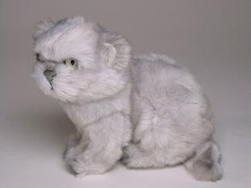 "Tiffany" Silver Persian