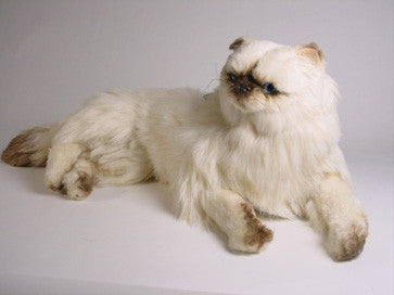 "Vivian" Himalayan Persian