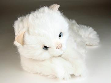 "Bass" White Cat