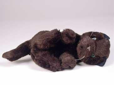 "Bombay" Black Cat