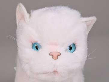 "Macavity" White Cat