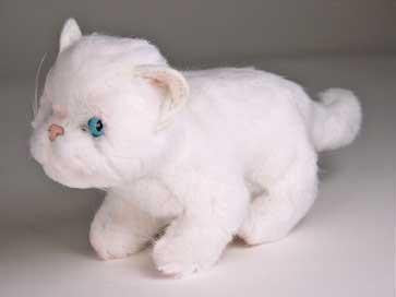 "Macavity" White Cat