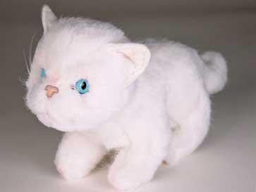 "Macavity" White Cat