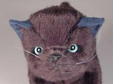 "Poe" Black Cat