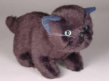 "Poe" Black Cat