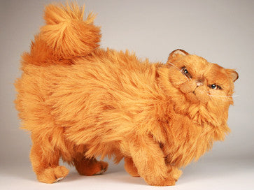red persian cats