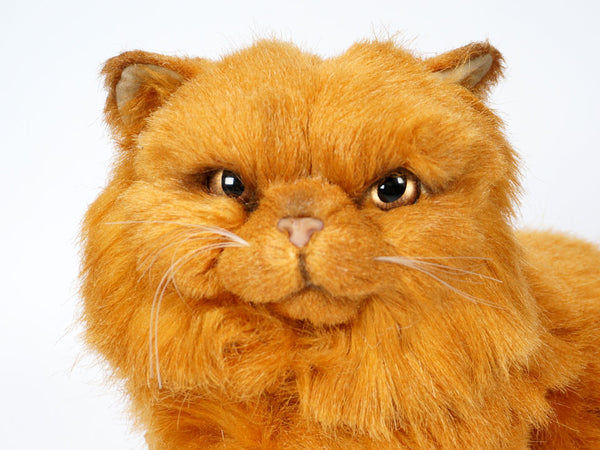 "Gabby" Red Persian