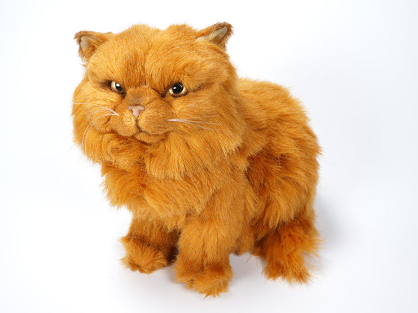 "Gabby" Red Persian