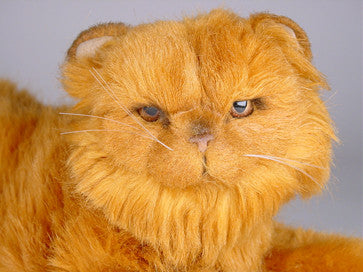 "Jazzie" Red Persian