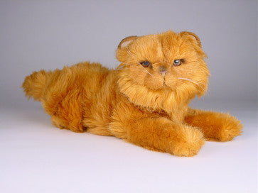 "Jazzie" Red Persian