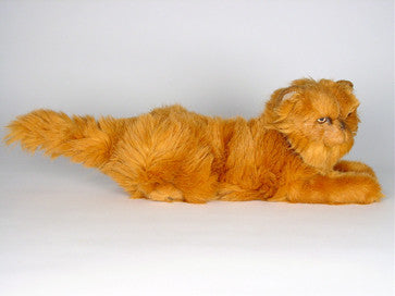 "Jazzie" Red Persian