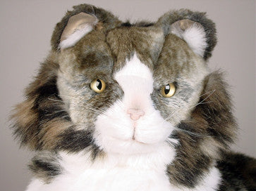 "Gabriel" Norwegian Forest Cat