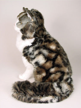 "Gabriel" Norwegian Forest Cat