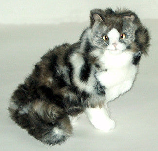 "Althea" Norwegian Forest Cat