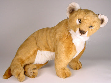 "Leonardo" Lion Cub