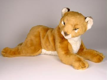 "Elsa" Lion Cub