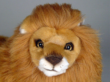 "Simba" Lion Cub