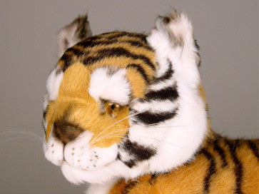 "Yuki" Bengal Tiger