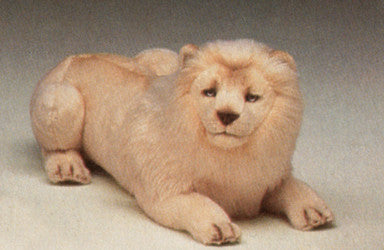 "Amra" White Lion