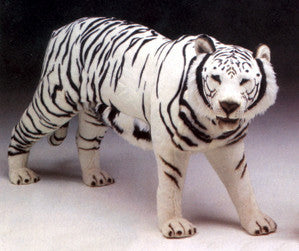 "Jaipur" White Siberian Tiger