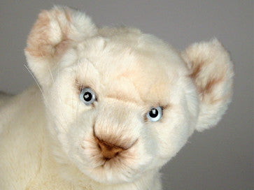 "Chloe" White Lion Cub