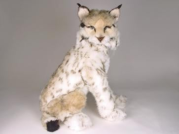 "Digger" Lynx