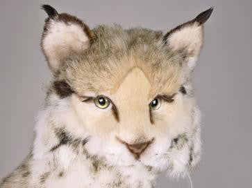 "Digger" Lynx