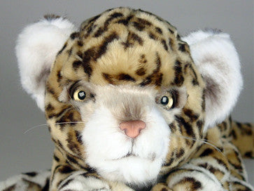 "Mac" Leopard