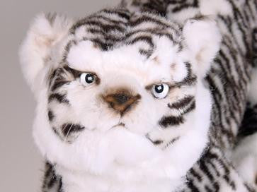 "Rewa" White Siberian Tiger