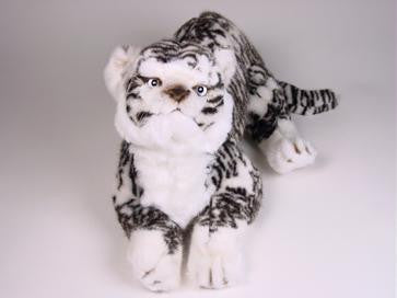"Rewa" White Siberian Tiger