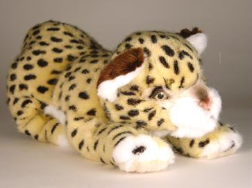 "Grant" Leopard