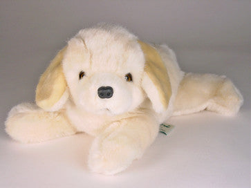 "Paddy" Golden Retriever
