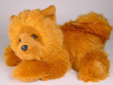 "Stuart" Chow Chow