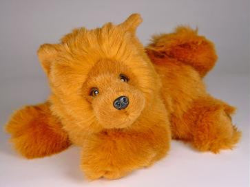 "Stuart" Chow Chow