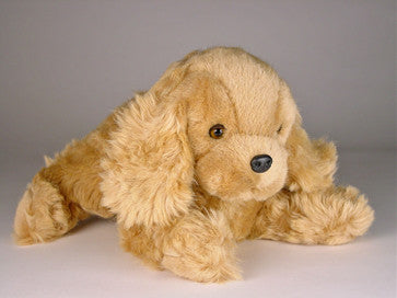 "Frill" Cocker Spaniel
