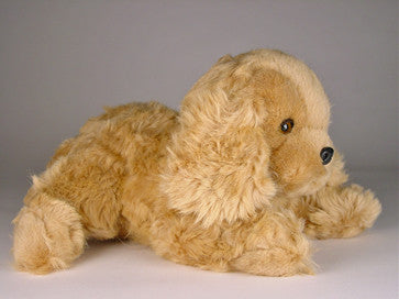 "Frill" Cocker Spaniel