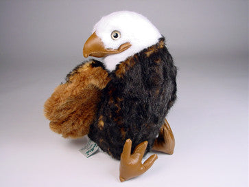 "Freedom" Bald Eagle